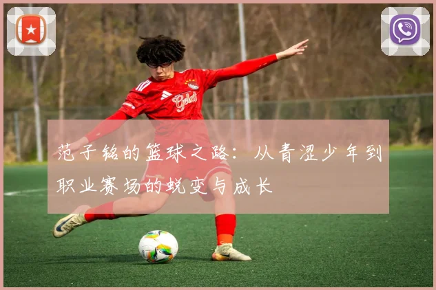 范子铭的篮球之路：从青涩少年到职业赛场的蜕变与成长